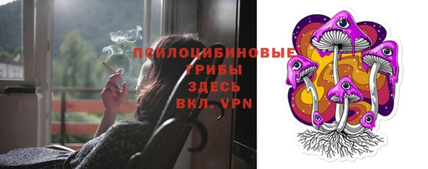 дживик Алексин