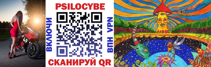 Галлюциногенные грибы Psilocybe где найти наркотики Нижние Серги